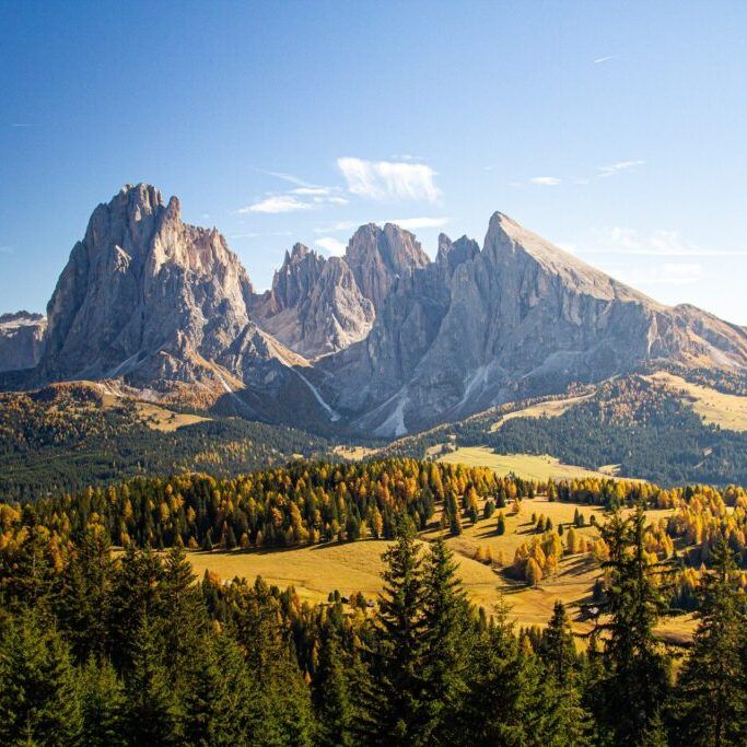 a beautiful shot of grassy hills covered in trees near mountains in Dolomites Italy